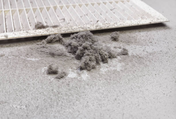 Best Emergency Air Duct Cleaning  in Downs, IL