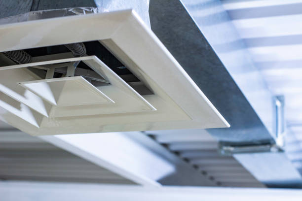Best Air Vent Cleaning Services  in Downs, IL